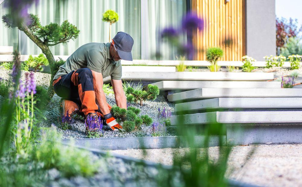Gärtner pflegt moderne Gartenanlage